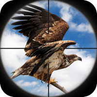 Birds of Prey Wild Wings Hunt