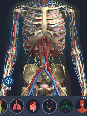 Human Anatomy 3Dのおすすめ画像1