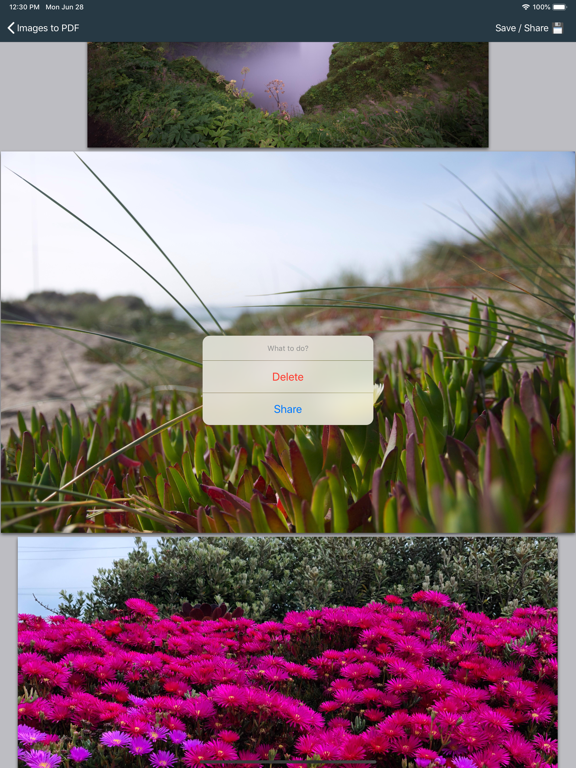 Screenshot #5 pour PDF: Scanner, converter
