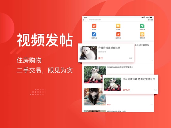 今日澳洲-澳大利亚租房生活信息指南 iPad screenshot 5 - News app