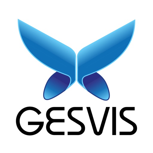 GESVIS