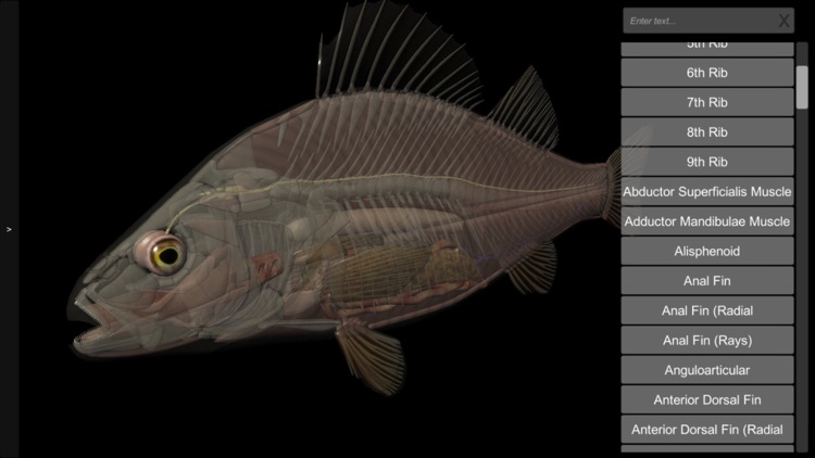 3D Fish Anatomy screenshot-7