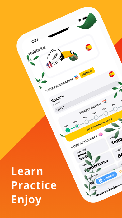 Flashcards - Learn Spanish Screenshot