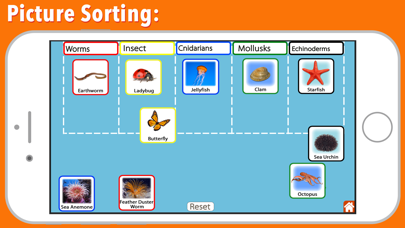 Animal Kingdom (Invertebrates) Screenshot