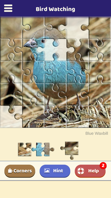 Bird Watching Puzzle Screenshot