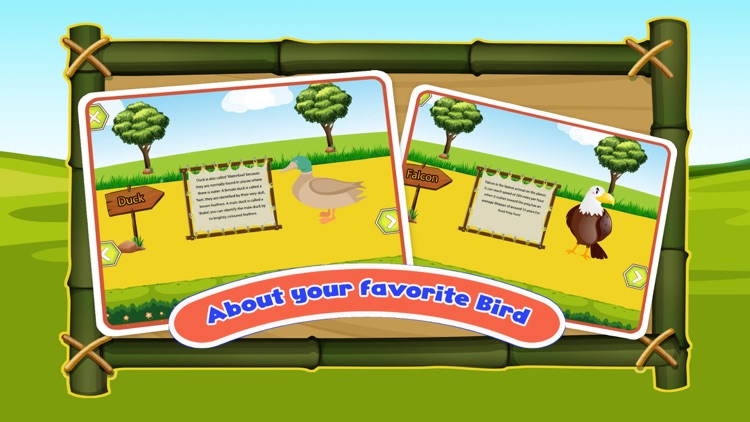 Birds Animal Sounds Kids Games