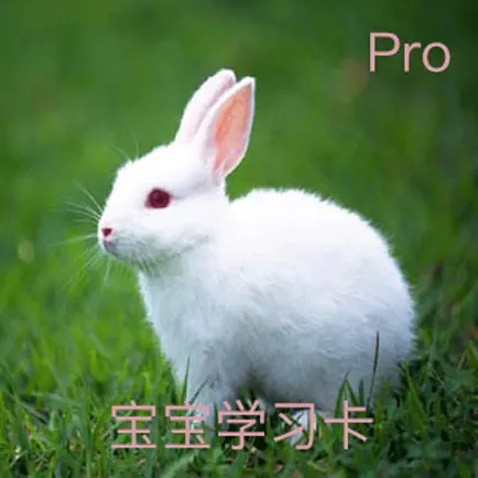 早教学习卡-少儿双语启蒙 Читы