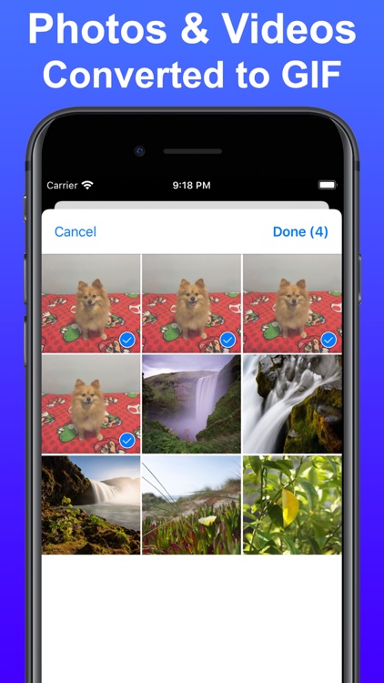 Gif Maker: Photo to GIF