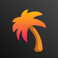 Tiny-Fun Life app funktioniert nicht? Probleme und Störung