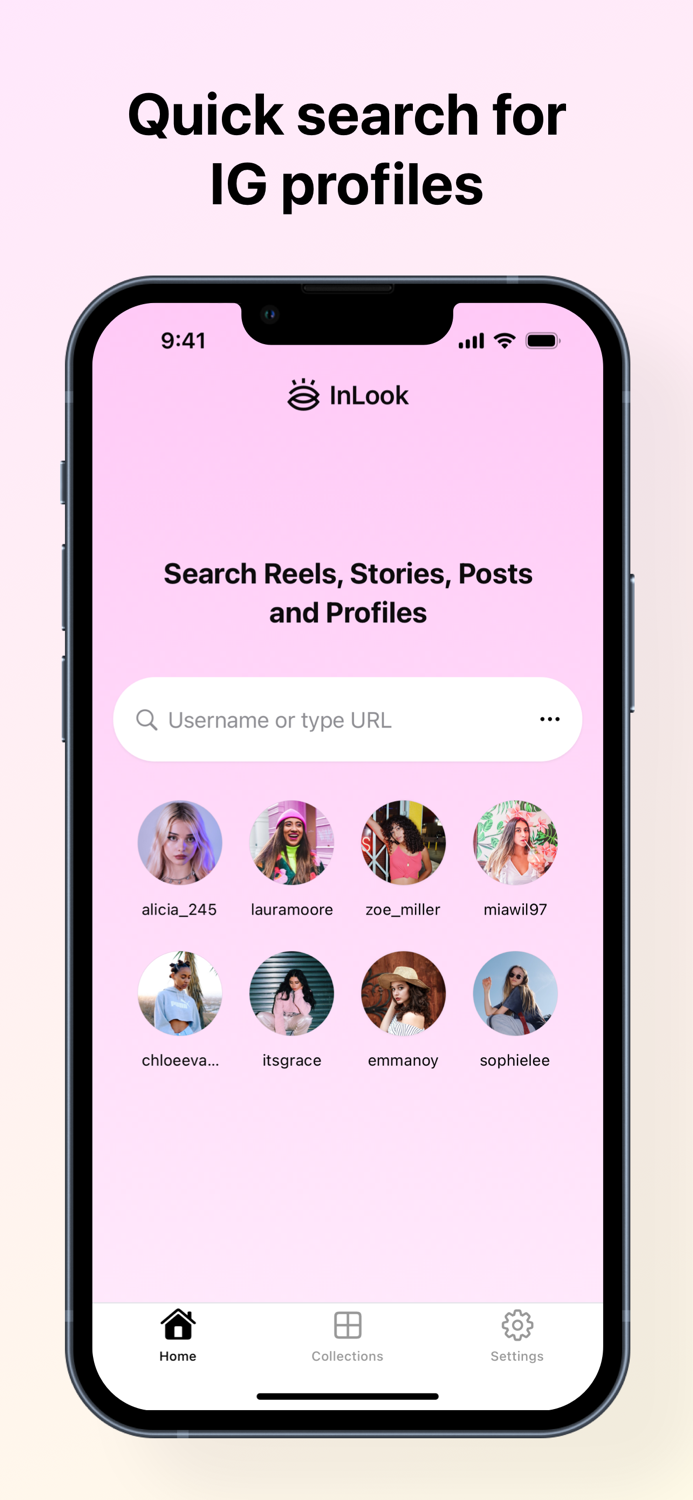 Story Viewer and Saver - InLook
