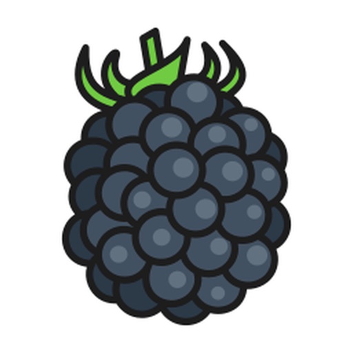 Blackberry Stickers icon