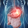 Digestive System Medical Terms icon