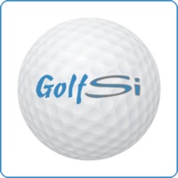 GolfSi logo
