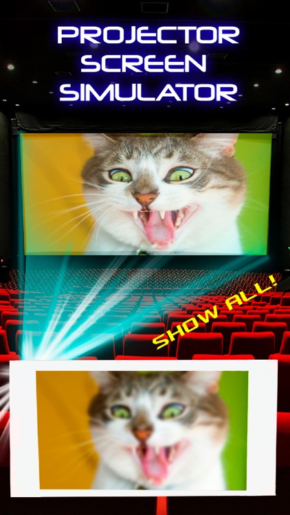 Projector Screen Simulator