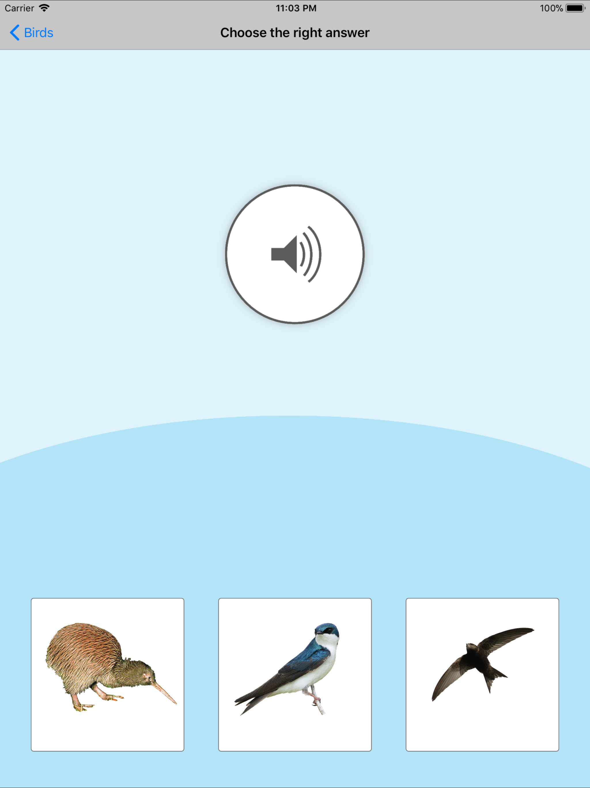 Birds Learning Cards screenshot 10