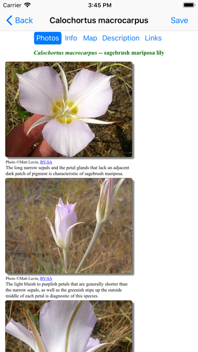 Screenshot #3 pour British Columbia Wildflowers