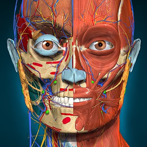 3D Anatomy Learning - 2022 Ed.