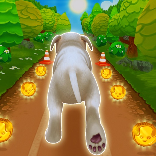 Pet Run - Puppy Dog Run Game