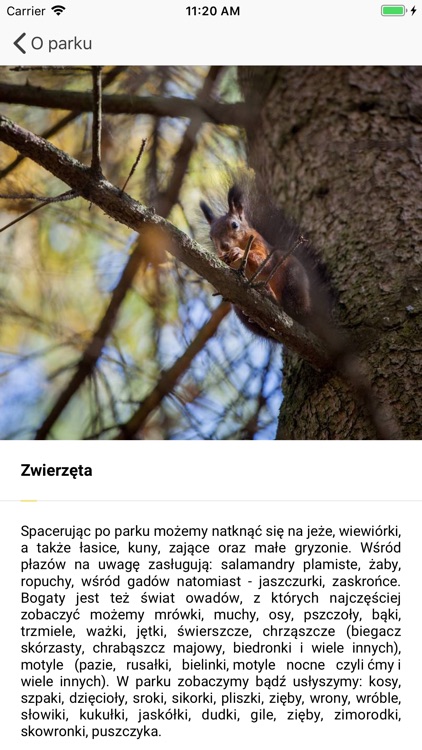 Park miejski w Gorlicach screenshot-4