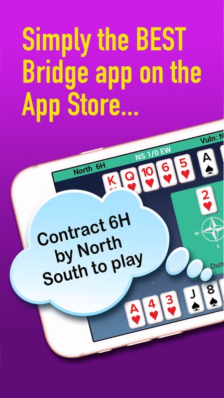 iBridgePlus screenshot 1