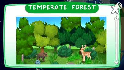Forest Kids Screenshot
