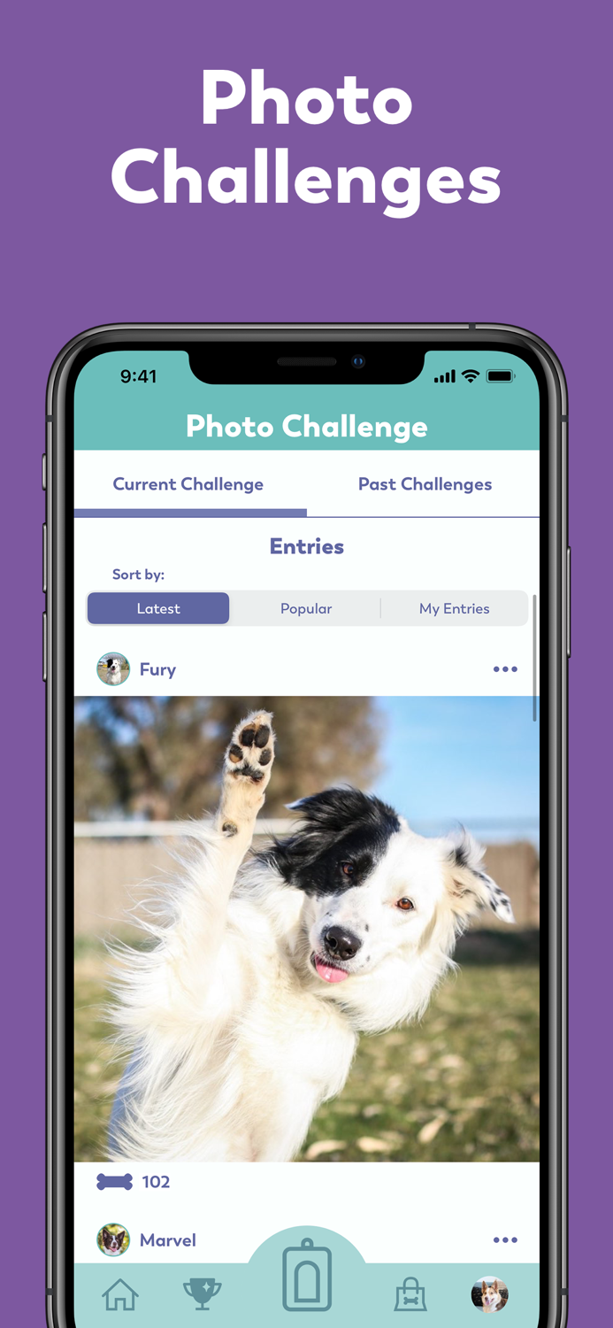 Puppr - Dog Training and Tricks