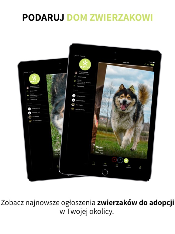 Screenshot #4 pour Adopt Us - Adopcja zwierzaków