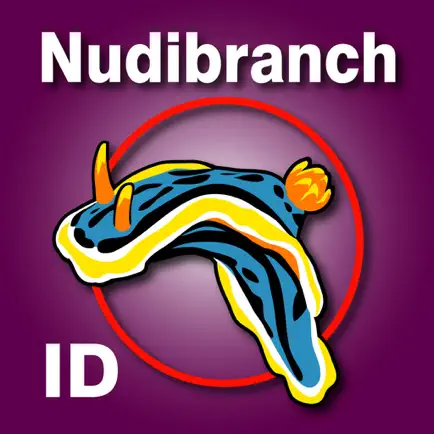 Nudibranch ID E Atlantic Med Читы