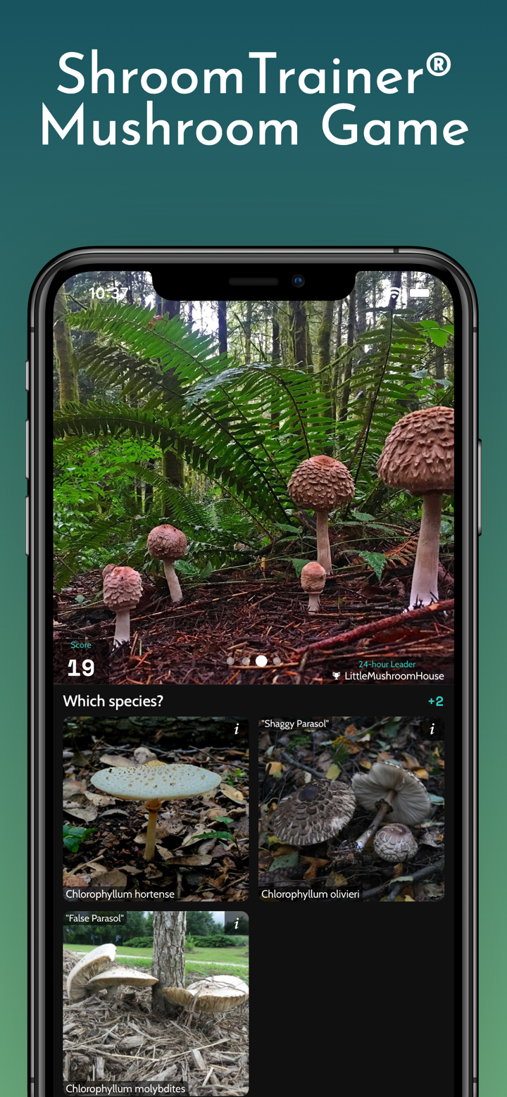 ShroomID - Identify Mushrooms screenshot 8