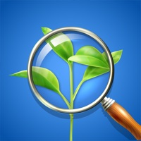 Identify Any Plant Instantly logo