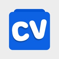 CV, Curriculum Vitae Designer Avis