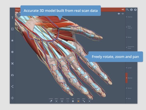 Primal's 3D Forearm & Handのおすすめ画像1