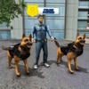 NY City K9 Police Dog Survival icon
