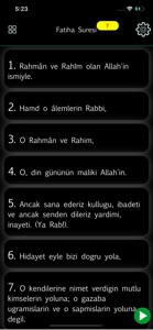 Turkish Quran - Holy Qu'ran screenshot #7 for iPhone