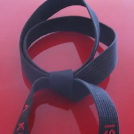 Martial Arts Cheats