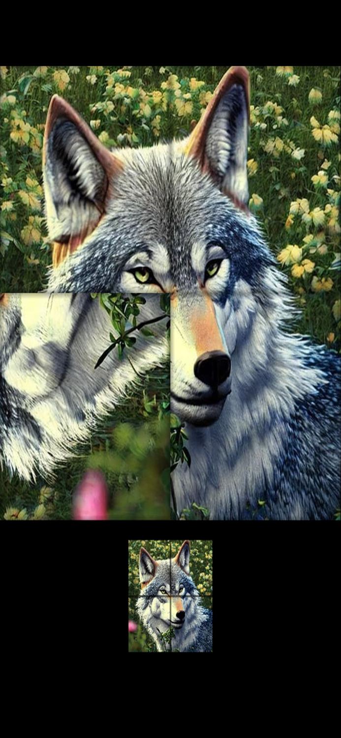 Jigsaw Puzzles Animals 1