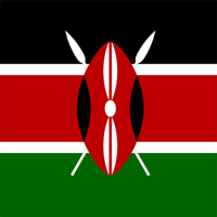 Kenyan Constitution