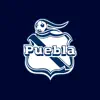 Academia Puebla Azcapotzalco App Delete