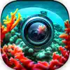 AI Reef Cam Positive Reviews, comments