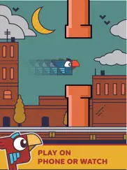 tap to dash bird - do not flap айпад изображения 1