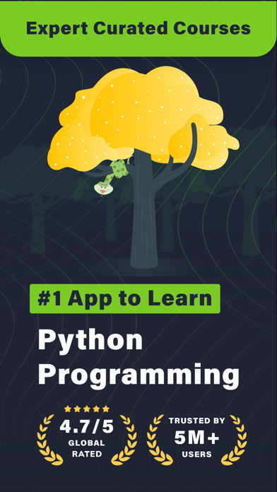 Learn Python Coding: Python X Screenshot