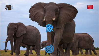 Animal Pad Sounds Screenshot