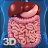 Get My Digestive System Anatomy for iOS, iPhone, iPad Aso Report