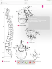 anatomy atlas айпад изображения 2