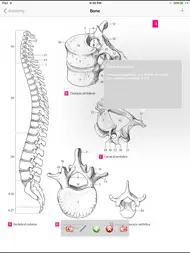 Anatomy Atlas ipad bilder 1