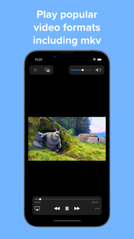 Video Player - PIP and more - 3.10.3 - (iOS)