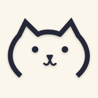 Accompanied Money and Expenses