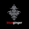 Blue ginger. icon