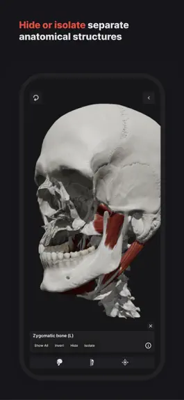Game screenshot Skull, Teeth & TMJ hack