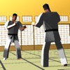 touch Karate (Universal) - iPadアプリ